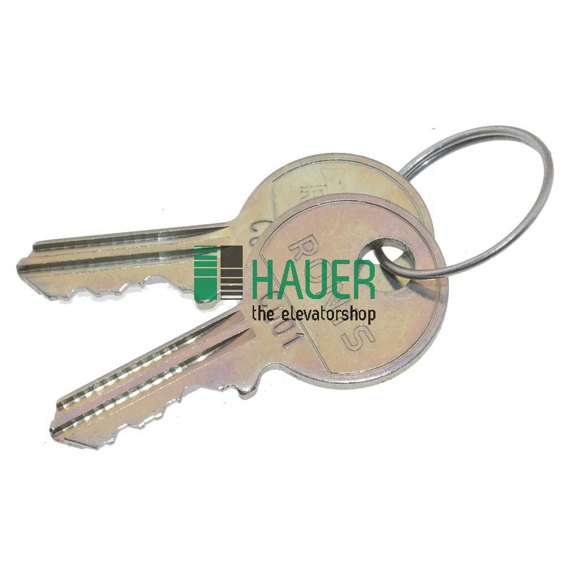 Schlüssel zu Starter für Fahrtreppe, 218108-0001 Saelzer