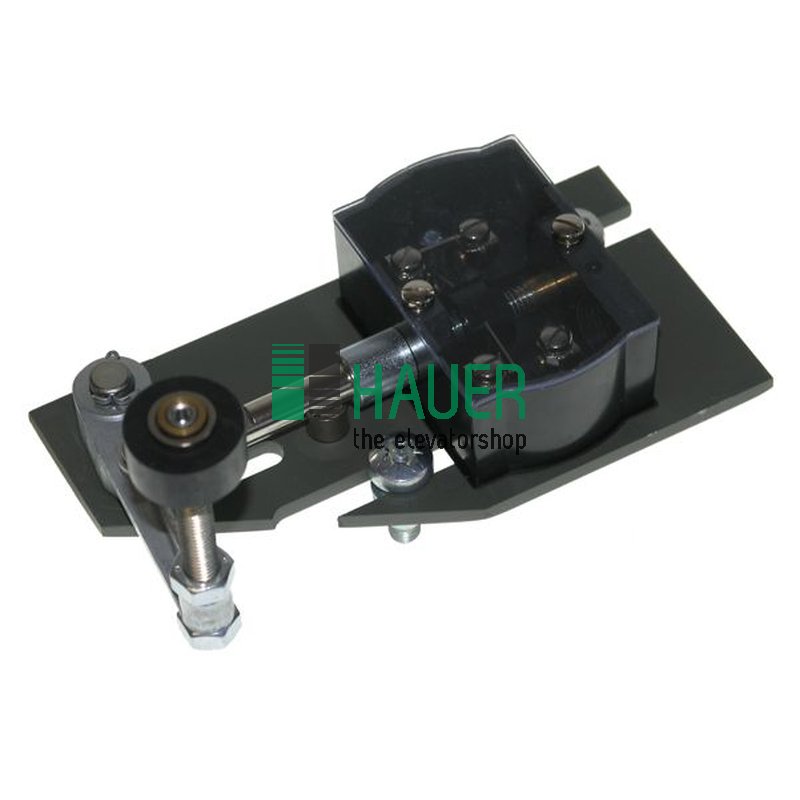 Shaft switch with roller lever D25