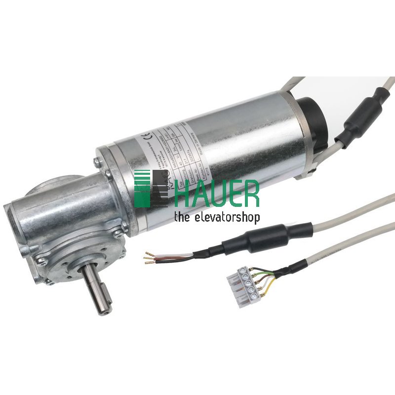Motore porta a corrente continua, 40 V CC, 203 giri/min