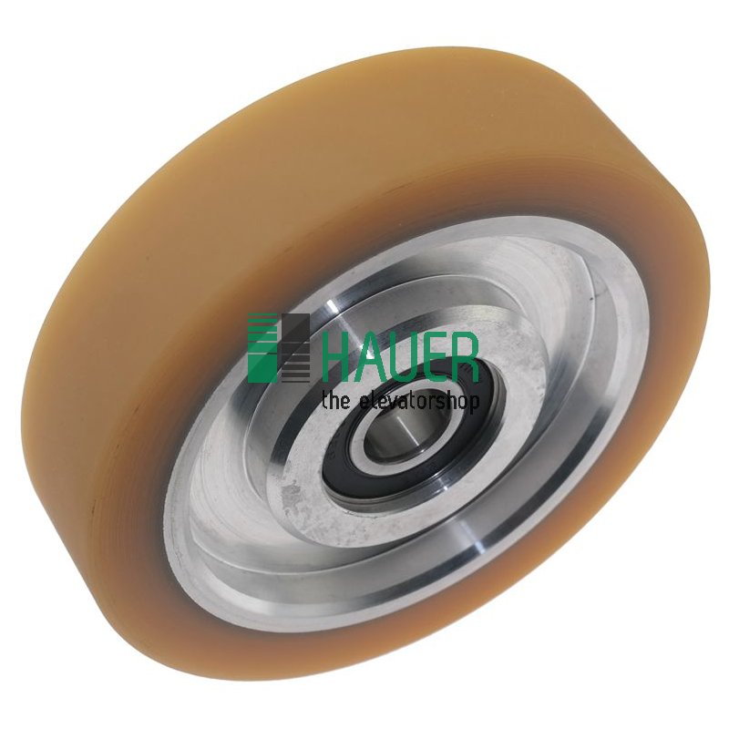 Guide roller  D125/17*30 2 bearings