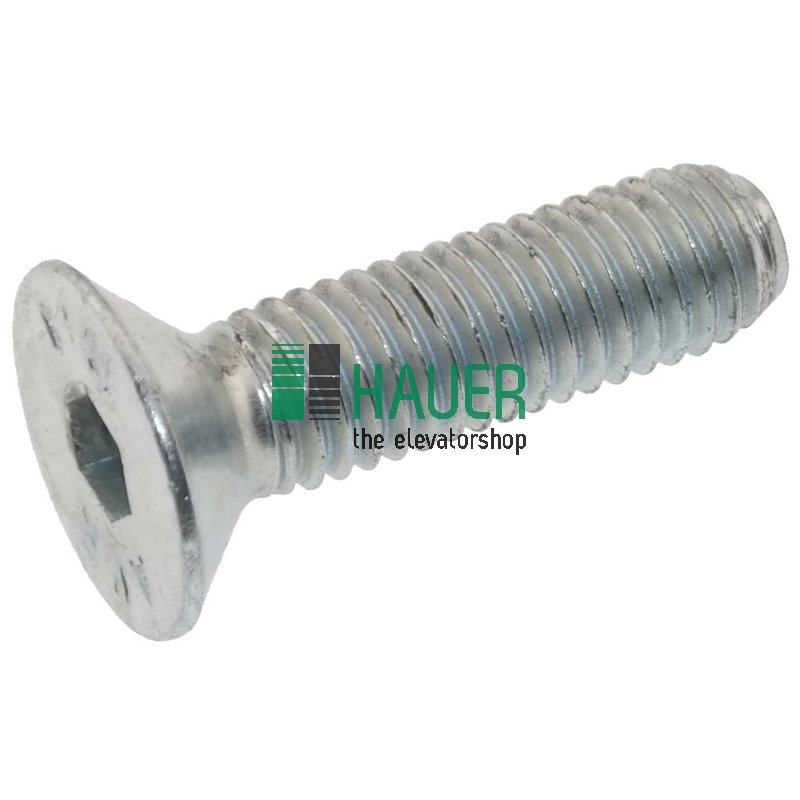 Tornillo TPSEI M8X30 UNI 5933 10.9