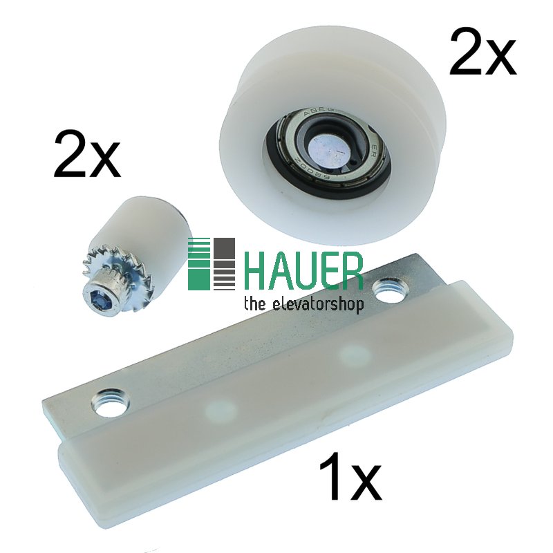Kit de mantenimiento, para puerta de entrada Thyssen M2TS2, panel rápido y lento