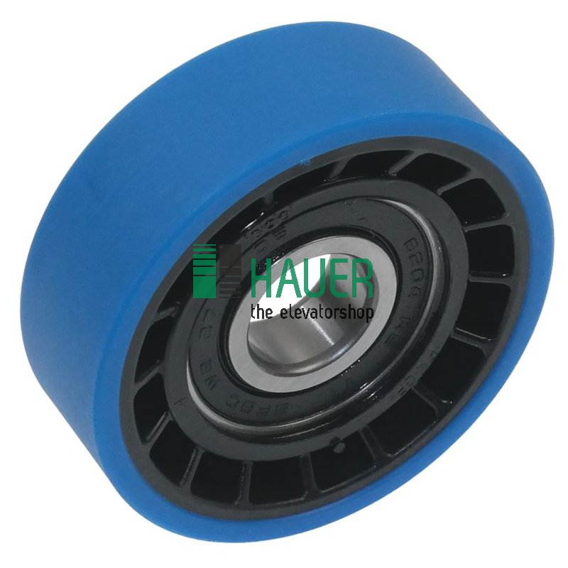 Step and chain roller 76*25 bearing 6204 2RS PAS-PUPA 95 A-H blue