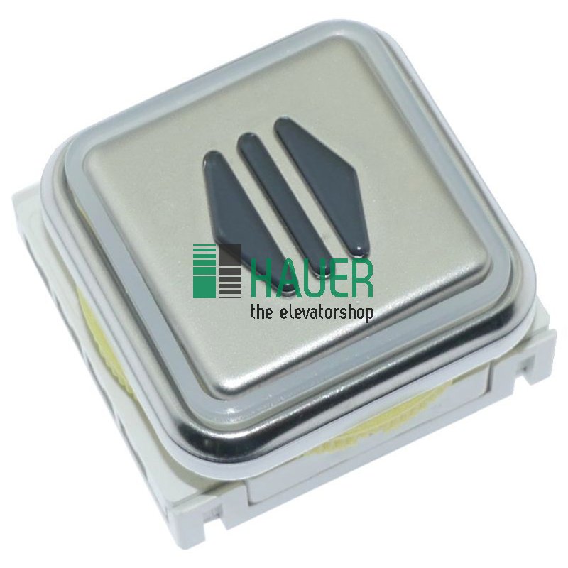 DMG, pulsador BLQ, placa V2A, 2 microinterruptores, 24V, azul, puerta abierta