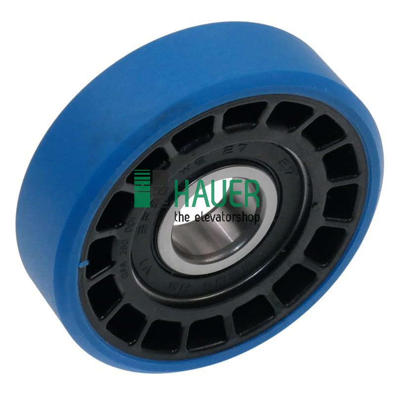 Step and chain roller 100*25 bearing 6204 2RS PAS-PURA 54 D-H blue