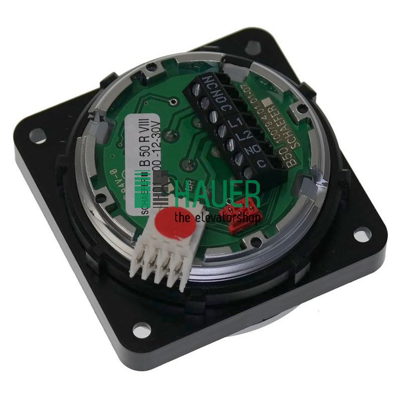 B50 R, caja P-Cr, VIII, 12-30V rojo,1NO, 1 cambi. placa V2A mate, blanko