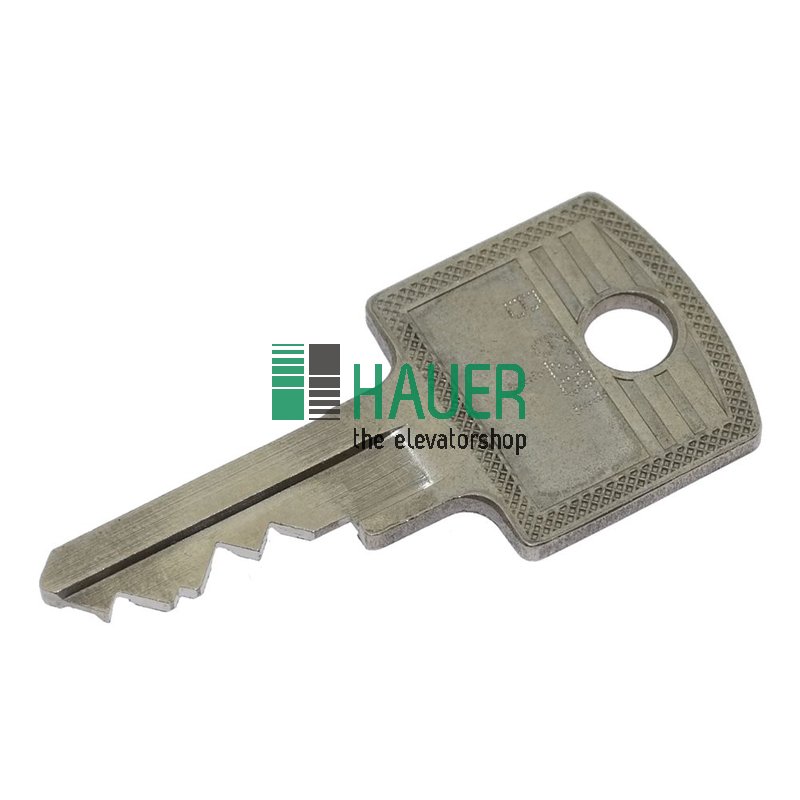 Schlüssel CES B6281/1 zu Schlüsselschalter RS3-KMS1-A4, Set=2St.