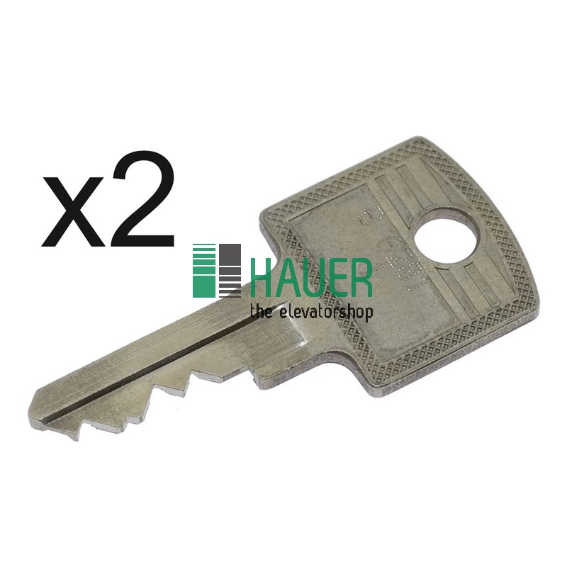 Schlüssel CES B6281/1 zu Schlüsselschalter RS3-KMS1-A4, Set=2St.