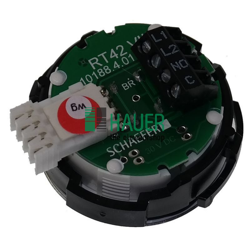 RT42 wg, VIII, Caja V2A pol., 30V rojo, 1NO, Placa V2A mate-plana