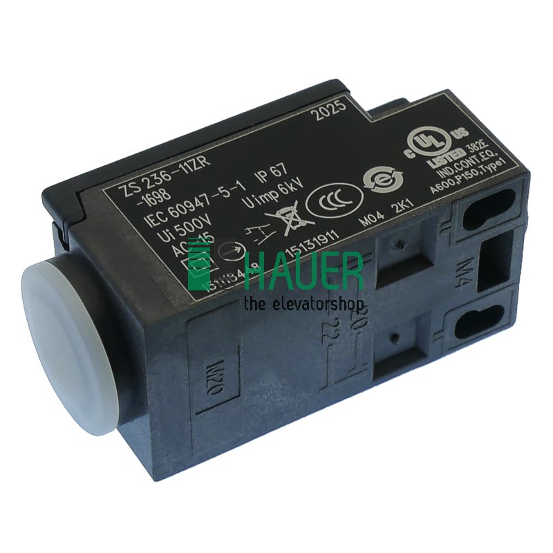 Interruptor de posición ZS 236-11ZR-1698