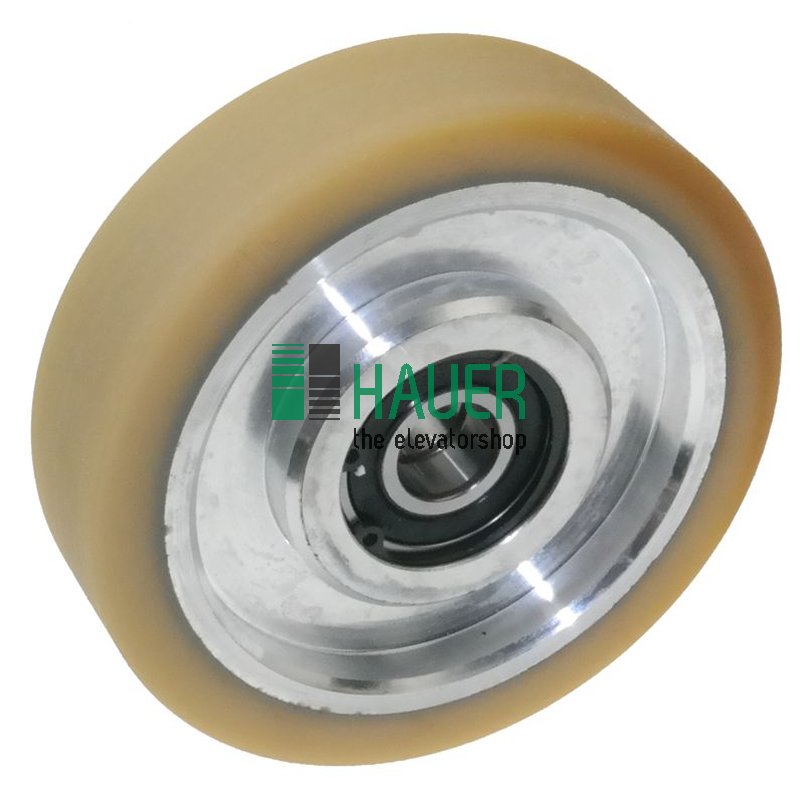 Guide roller  D120/17*30 2 bearings